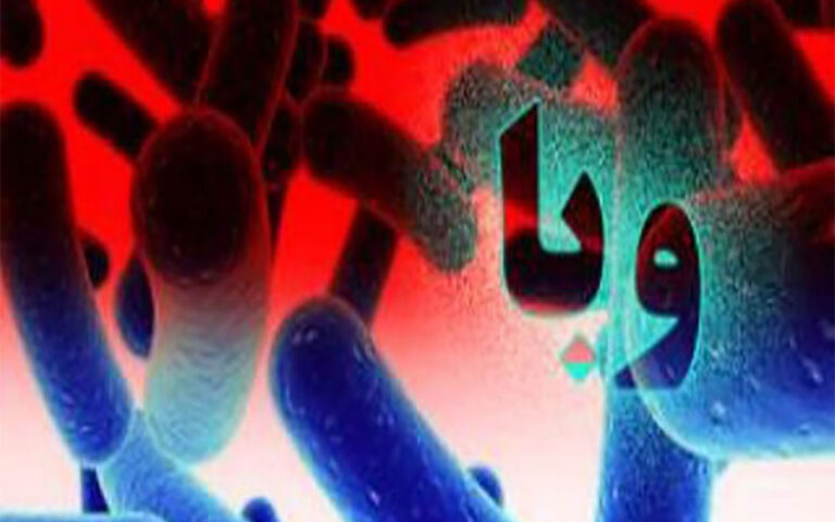 موارد مشکوک به "وبا" در مریوان در حال پیگیری است