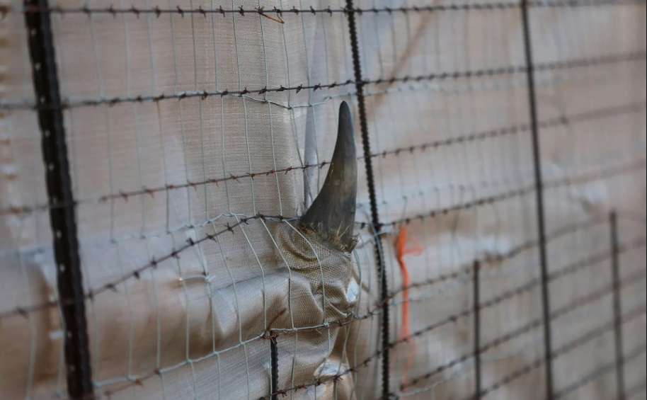 لففالاله، موزامبیک