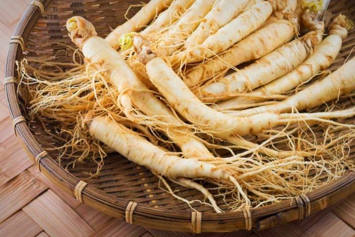 گیاهان مفید برای درمان دیابت