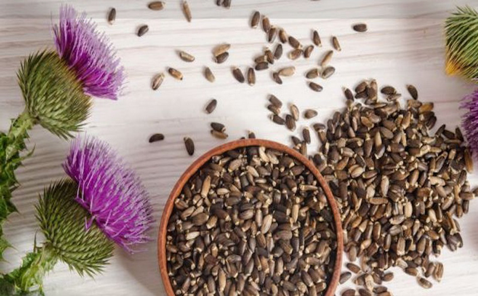 گیاهان مفید برای درمان دیابت