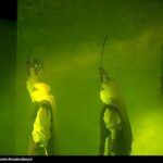 تصاویر کنسرت نمایش راه عشق