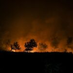 آتش سوزی گسترده در جنگل - فرانسه و پرتقال