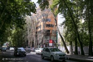 روایت تصویری از خشک شدن ده درخت خیابان ولیعصر (عج)