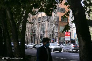 روایت تصویری از خشک شدن ده درخت خیابان ولیعصر (عج)