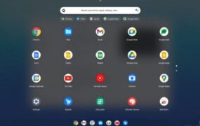 کروم OS Flex