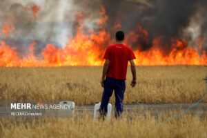 آتش سوزی های گسترده مناطق جنگلی اروپا در اثر گرمای شدید هوا