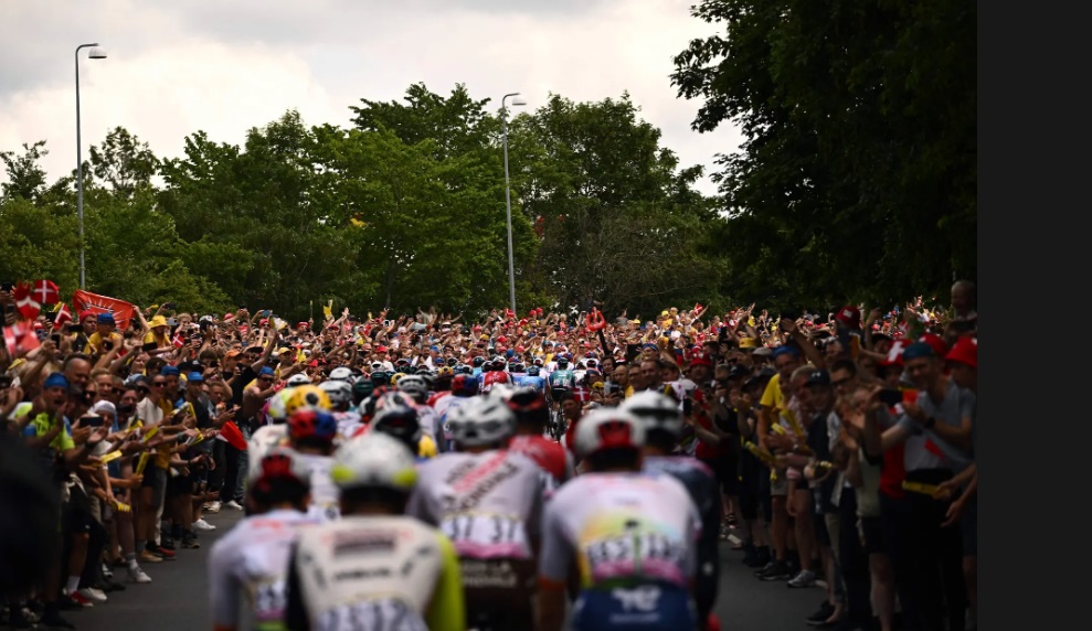 وژله، دانمارک