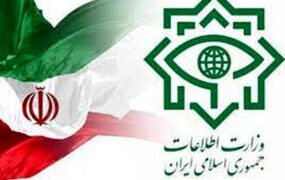 یک تبعه‌ی سوئد به اتهام جاسوسی بازداشت شد