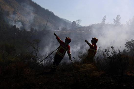 آتش سوزی های گسترده جنگلی در فرانسه و پرتغال