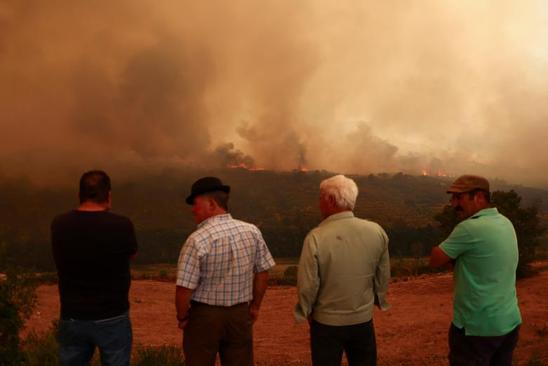 آتش سوزی های گسترده جنگلی در فرانسه و پرتغال