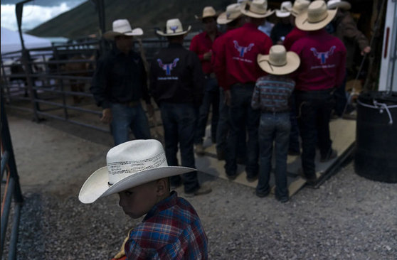 مسابقات گاوبازی در شهر "جکسون" ایالت وایومینگ آمریکا