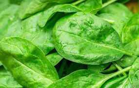 این سبزی برای کم‌خونی و کلسترول معجزه می‌‎کند