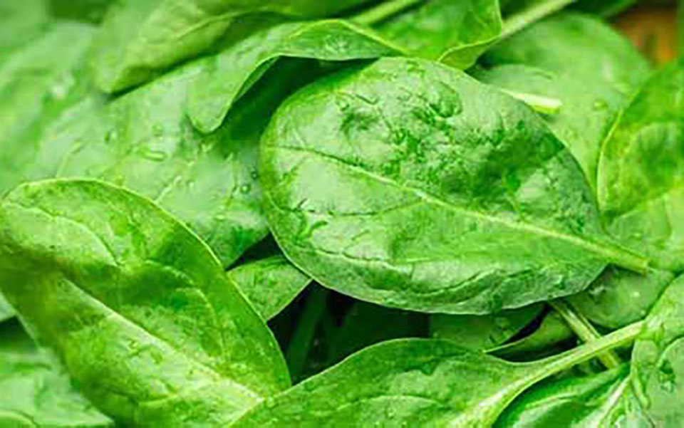 این سبزی برای کم‌خونی و کلسترول معجزه می‌‎کند