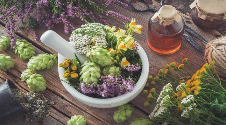 خواب آورهای گیاهی