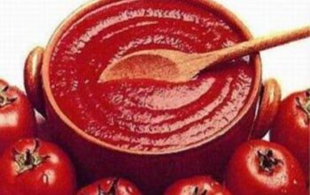 رب گگوجه فرنگی