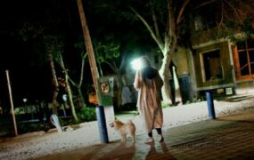 سگ گردانی در پارک های تهران