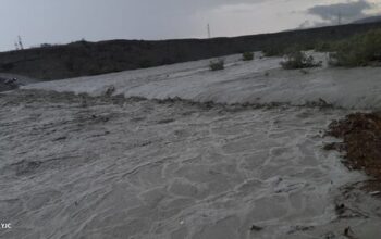 سیل