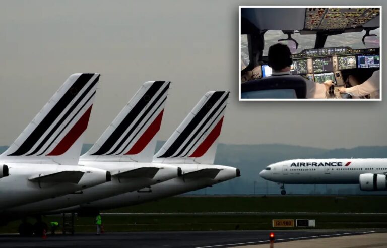 کتک کاری خلبان در ایرفرانس