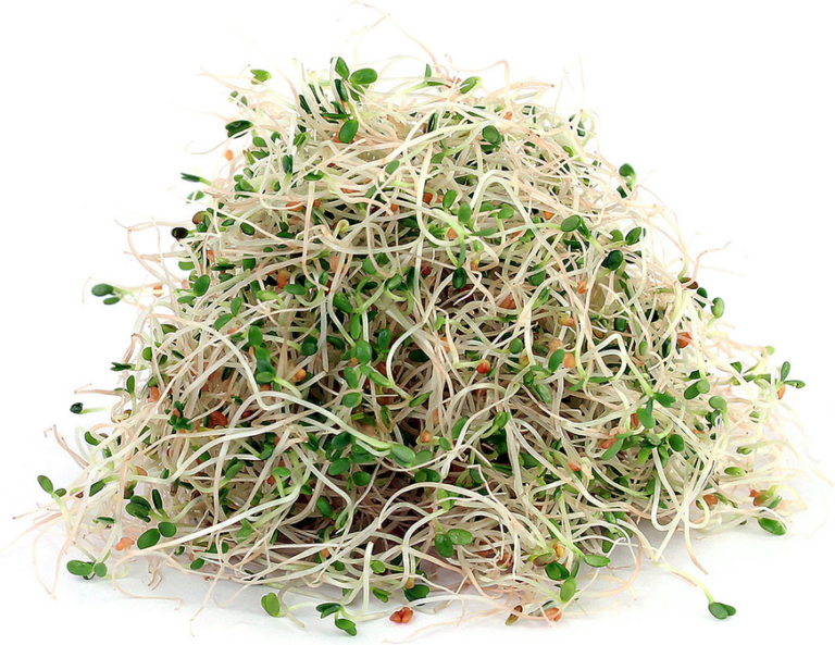 یونجه