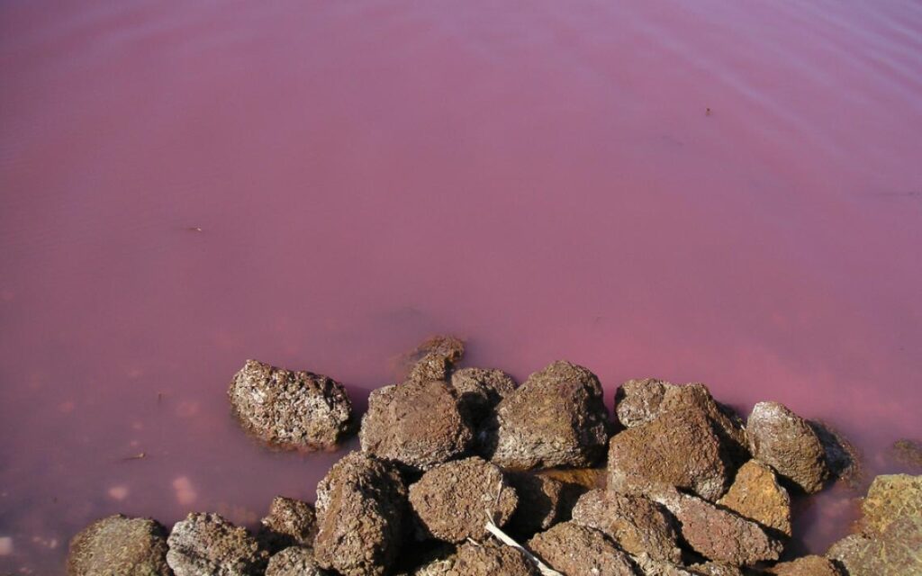 تصاویری از زیباترین دریاچههای دنیا تصاویری از زیباترین دریاچههای دنیا 3