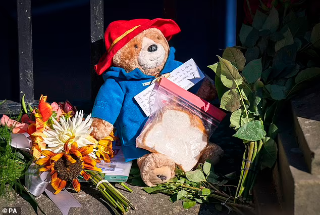 شرایط حضور در خاکسپاری ملکه؛ جت و ماشین شخصی نیاورید، اتوبوس هست شرایط حضور در خاکسپاری ملکه2