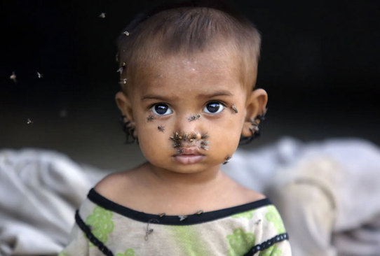 سیلزدگان در منطقه سوکور پاکستان