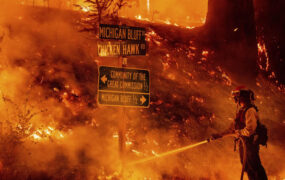 یک نیروی آتش نشانی در حال خاموش کردن آتش سوزی جنگلی