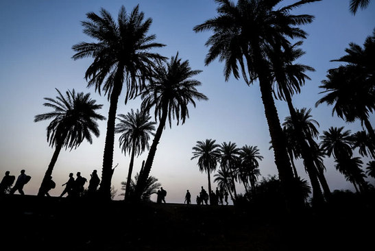 راهپیمایی اربعین در نجف عراق