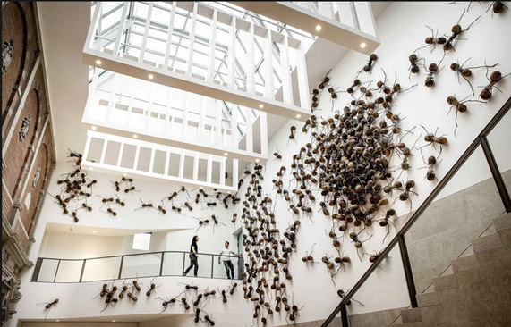 اثر هنری یک هنرمند کلمبیایی درباره مهاجرت انسانی در نمایشگاهی در شهر آمستردام هلند