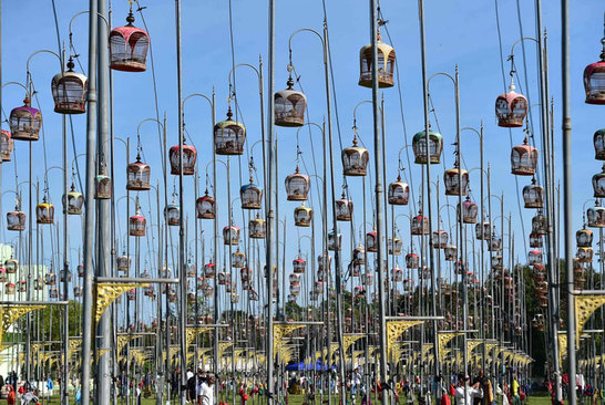 بیش از 1500 پرنده از تایلند، مالزی و سنگاپور در جریان مسابقه سالانه پرندگان آوازخوان در تایلند/ خبرگزاری فرانسه