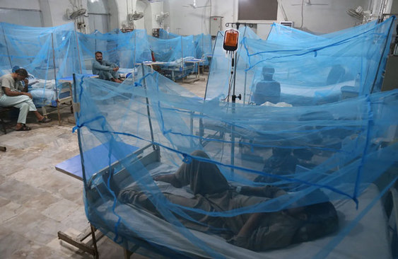 بیماران مبتلا به تک دنگی در بخش قرنطینه بیمارستانی در شهر کراچی پاکستان