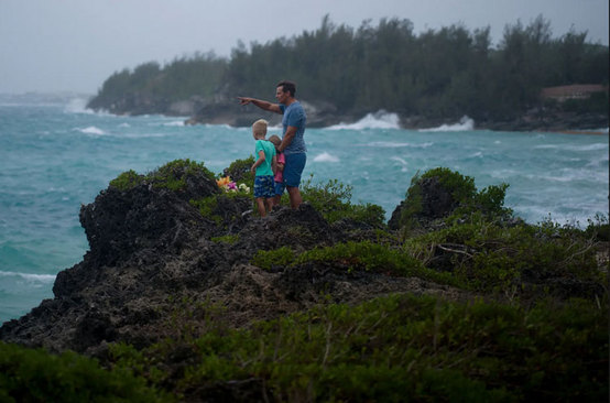 دیدنی های امروز؛ از نهنگ های تلف شده تا توفان فیونا رسیدن امواج توفان "فیونا" به منطقه برمودا