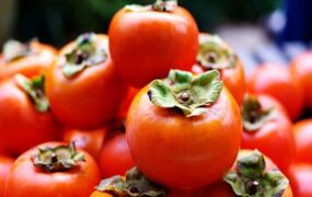 خرمالو بخوریم تا سرما نخوریم