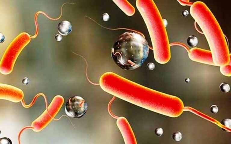 راه های انتقال بیماری وبا