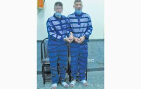 سارق خفتگیر خانم دکتر در خیابان ولنجک دستگیر شد