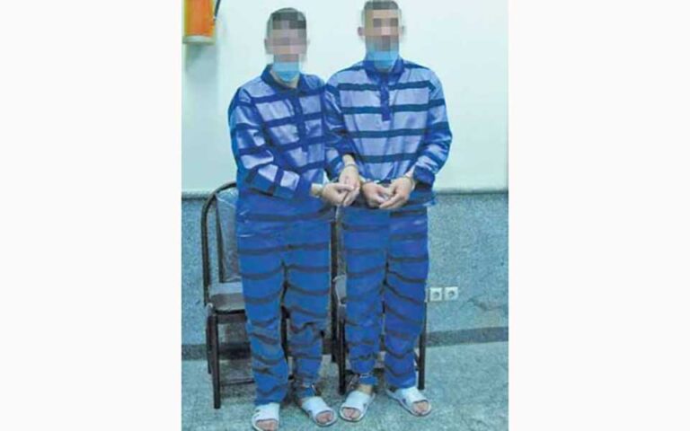 سارق خفتگیر خانم دکتر در خیابان ولنجک دستگیر شد