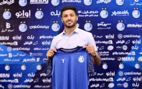 محبی