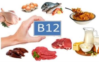 ویتامین B12 رژیم حیوانی اعصاب