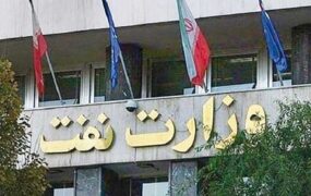 پوشش معاون وزیر نفت در یک دیدار رسمی