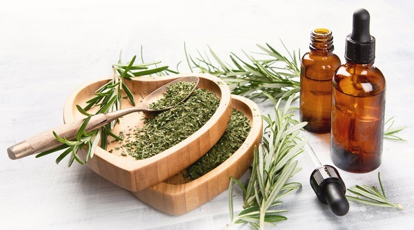 گیاهی برای مقابله با آلزایمر گیاه رزماری