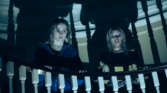 گرگینه در شب