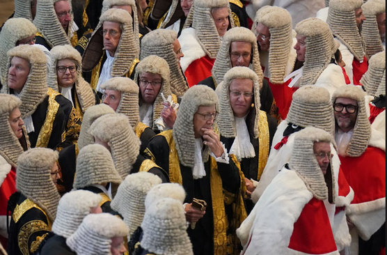 دیدنی های امروز؛ از روز جهانی حیوانات تا انتخابات برزیل قضات انگلیسی در مراسم رسمی آغاز سال قضایی در لندن