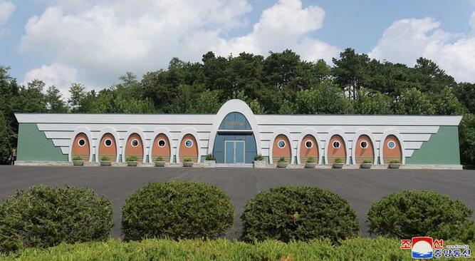 مزرعه پرورش شتر مرغ در کره شمالی/ خبرگزاری رسمی کره شمالی