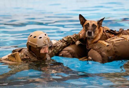 افسران آموزشی سگ های ارتش آلمان