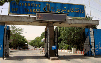 دانشگاه تبریز
