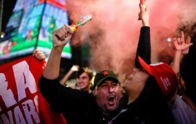 دیدنی های امروز؛ از روز جهانی حیوانات تا انتخابات برزیل