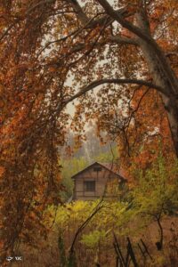 پاییز زیبا در کشمیر 3