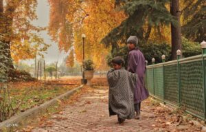 پاییز زیبا در کشمیر 4