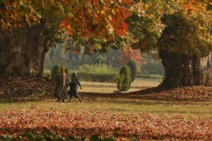 پاییز زیبا در کشمیر 6