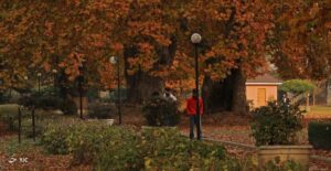 پاییز زیبا در کشمیر 1